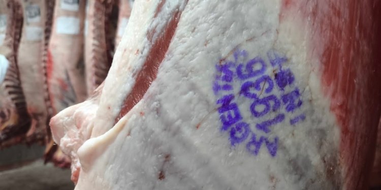 carne-argentina-sello-750x375